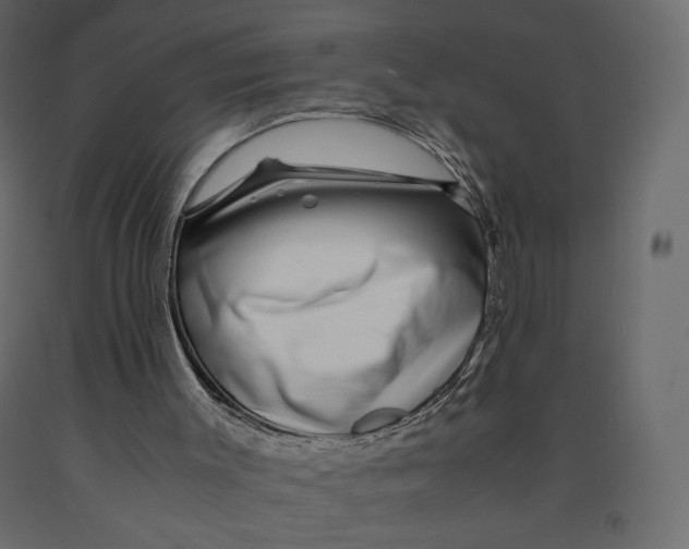 X0000090900003200708270954