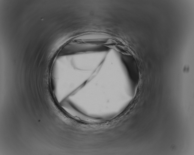 X0000090900005200708270954