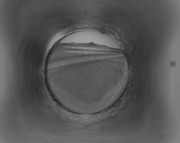 X0000090900006200708270954