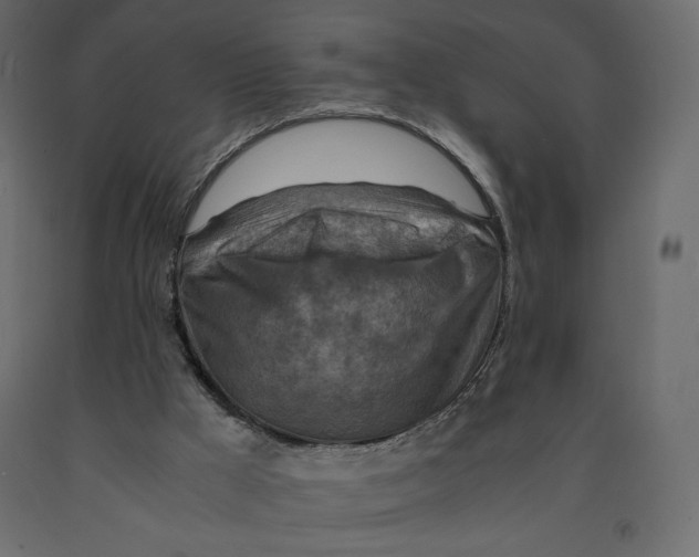X0000090900009200708270954