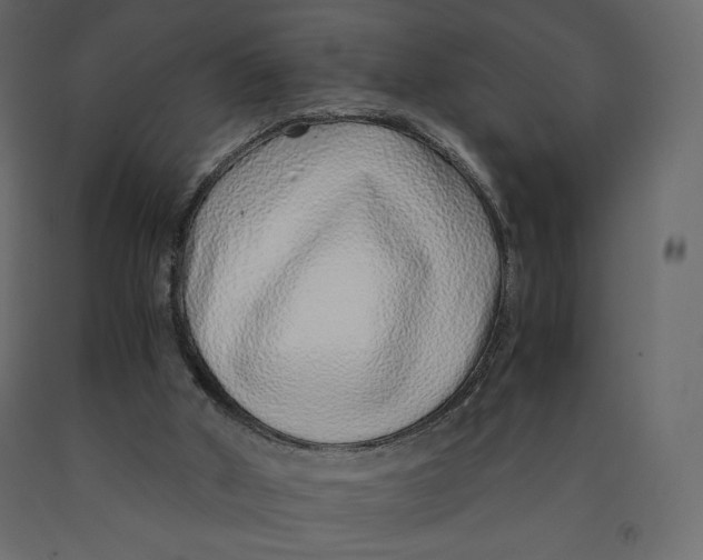 X0000090900010200708270954