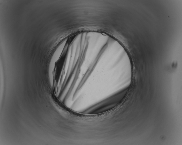 X0000090900013200708270954