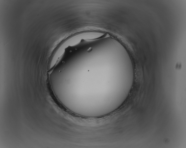 X0000090900015200708270953