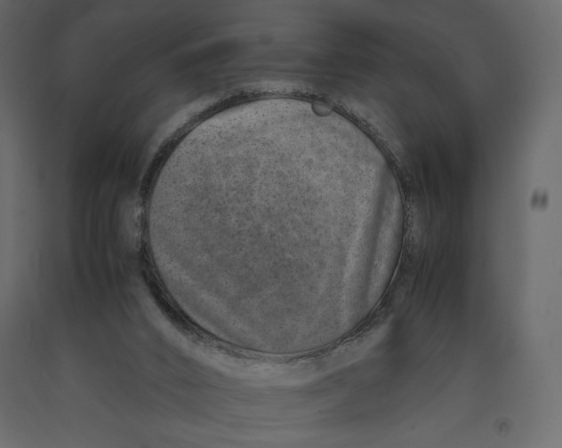 X0000090900016200708270953