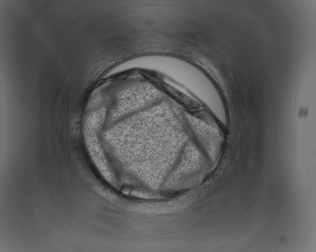 X0000090900017200708270953