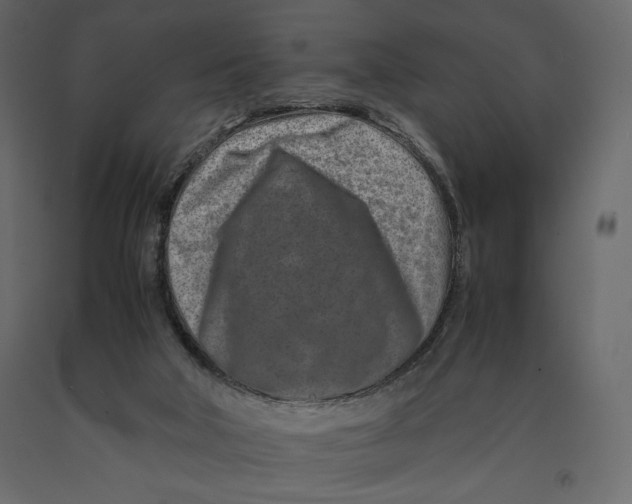 X0000090900018200708270953