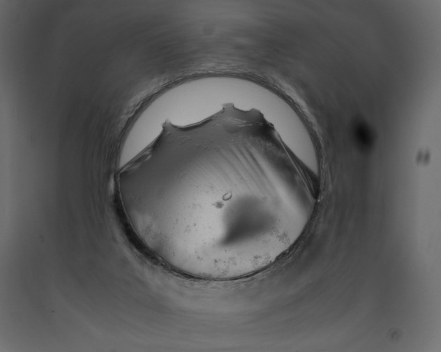 X0000090900019200708270953