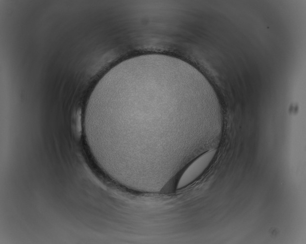 X0000090900020200708270953