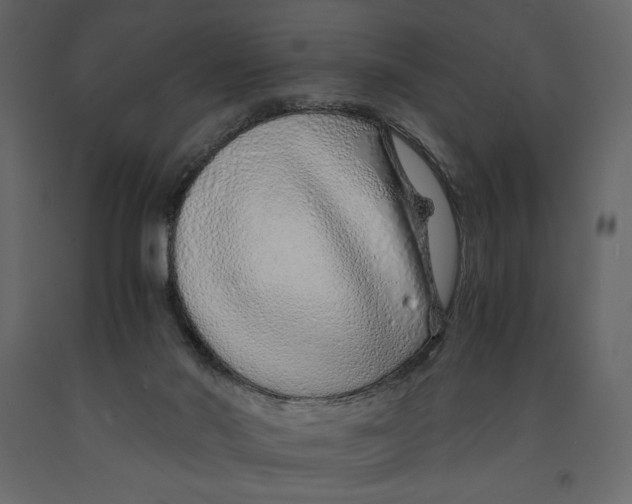 X0000090900022200708270953