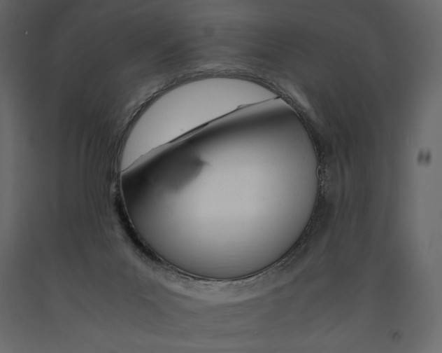 X0000090900023200708270953