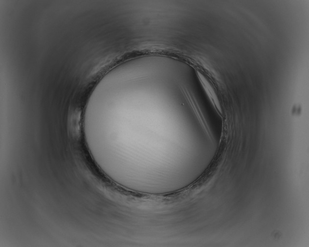 X0000090900024200708270953