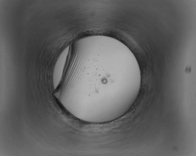 X0000090900025200708270953