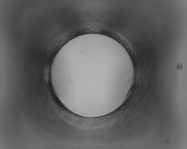 X0000090900026200708270953
