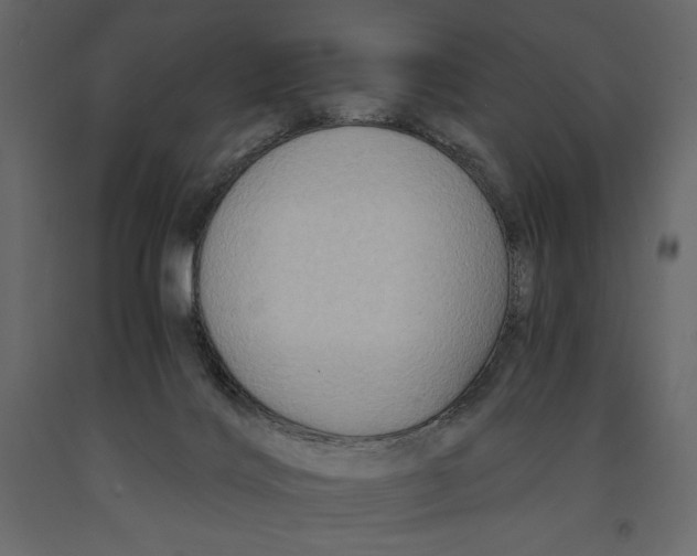 X0000090900028200708270953