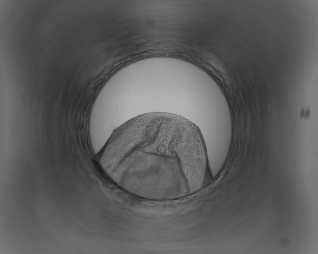 X0000090900029200708270953