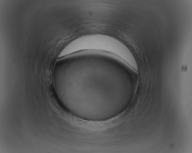 X0000090900031200708270953