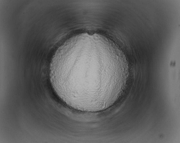 X0000090900032200708270953