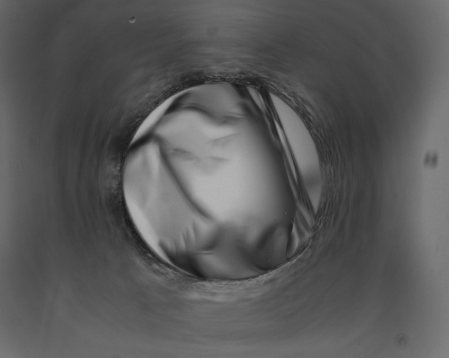 X0000090900033200708270953