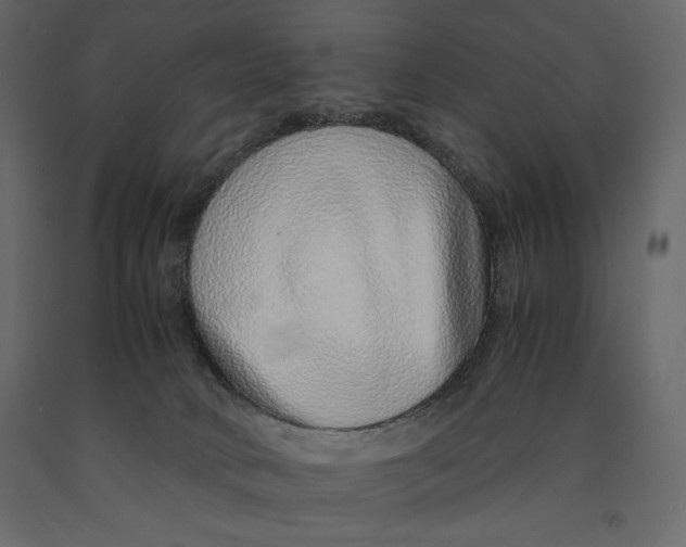 X0000090900034200708270953