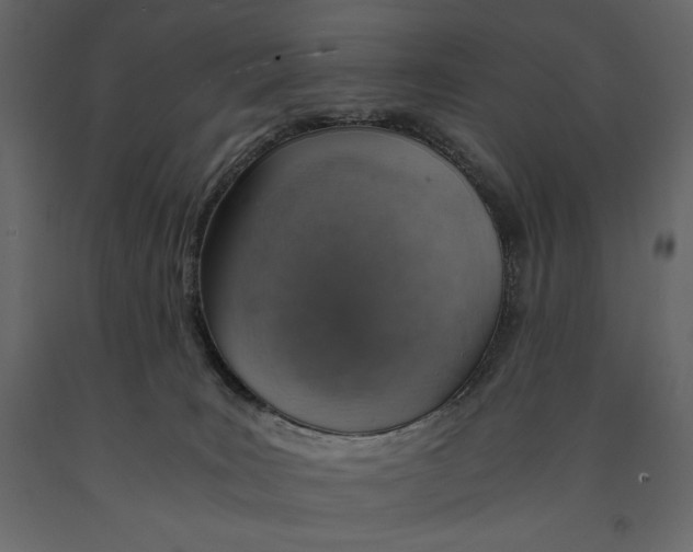 X0000090900035200708270953