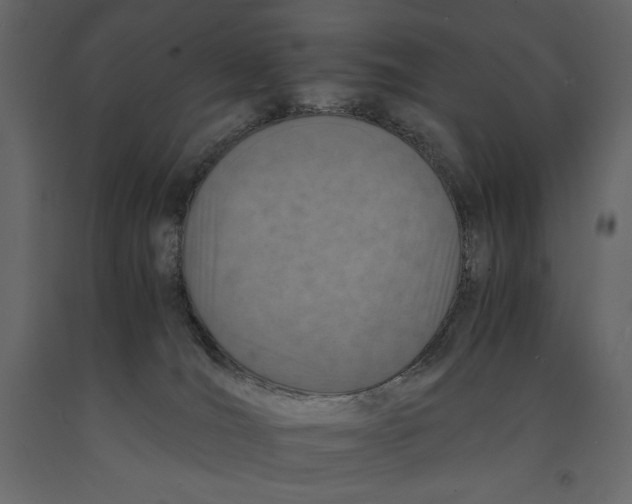 X0000090900036200708270953