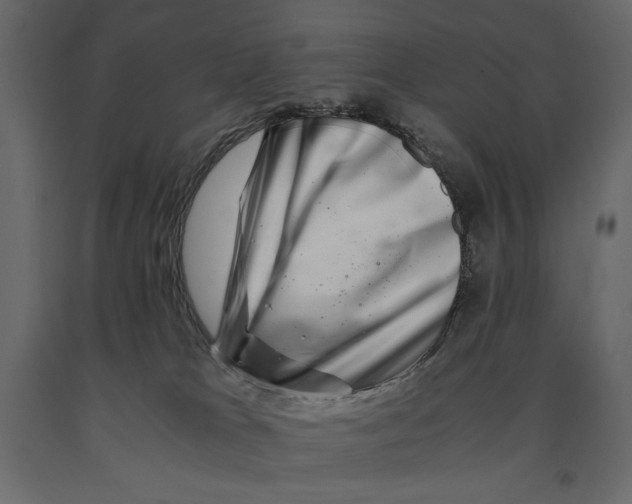 X0000090900037200708270953