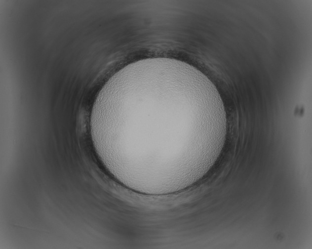 X0000090900038200708270953