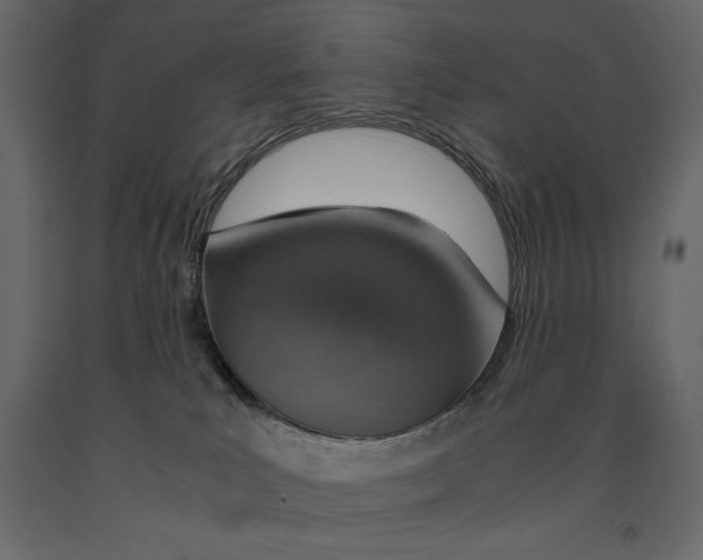 X0000090900039200708270953
