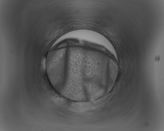 X0000090900041200708270953