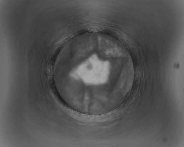 X0000090900043200708270953