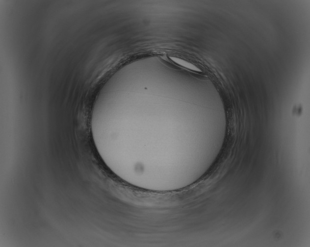 X0000090900044200708270953