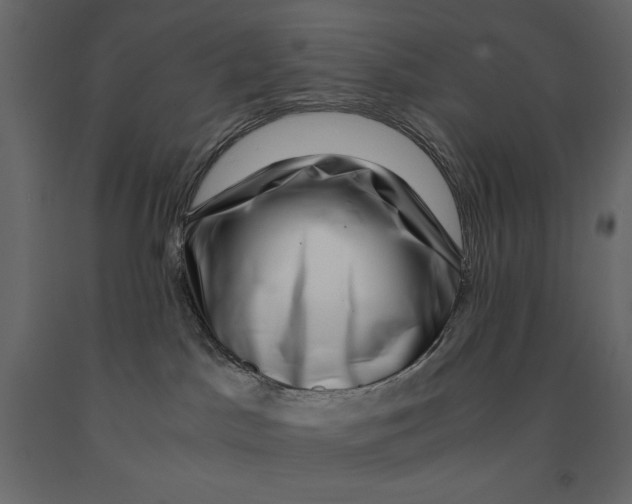 X0000090900045200708270953
