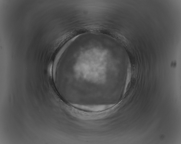 X0000090900047200708270953