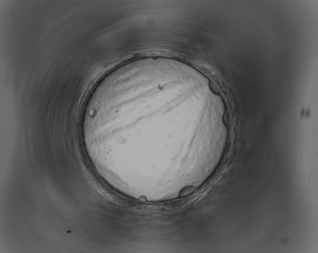 X0000090900049200708270952