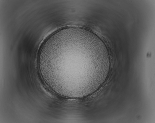 X0000090900050200708270952