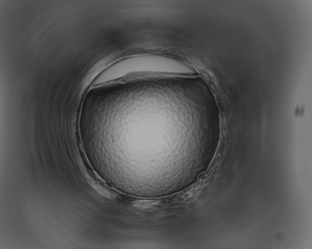 X0000090900051200708270952