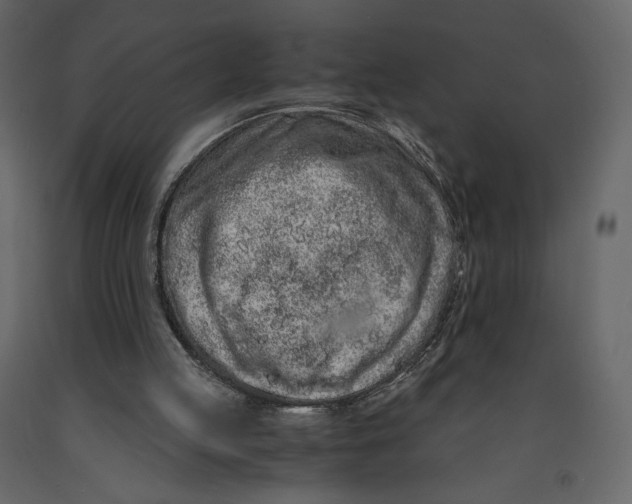 X0000090900053200708270952