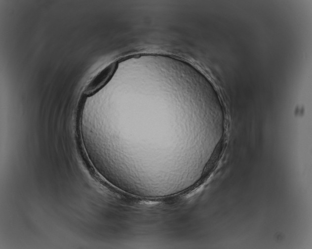 X0000090900055200708270952