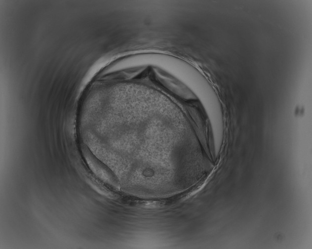 X0000090900056200708270952