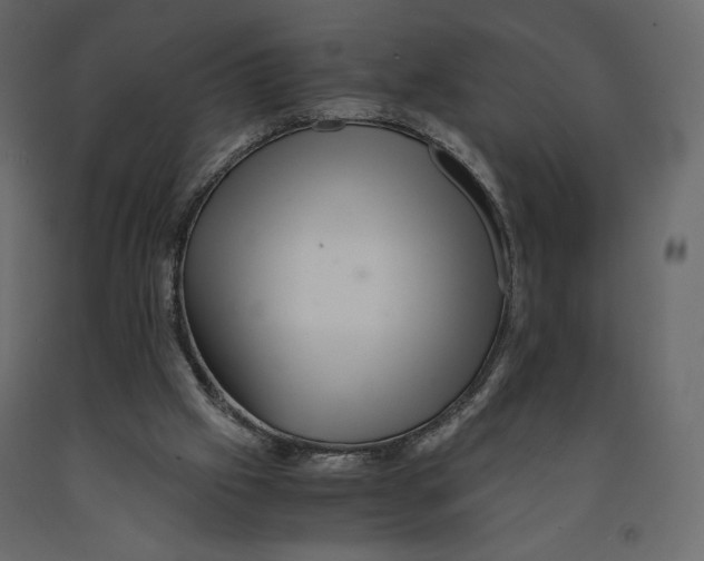 X0000090900057200708270952
