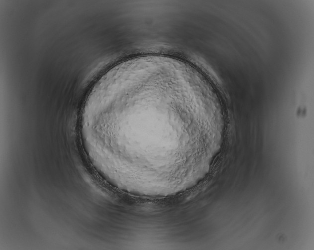 X0000090900058200708270952