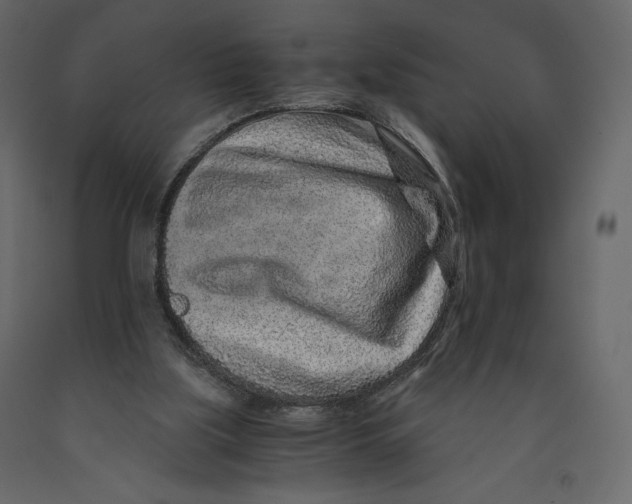 X0000090900059200708270952