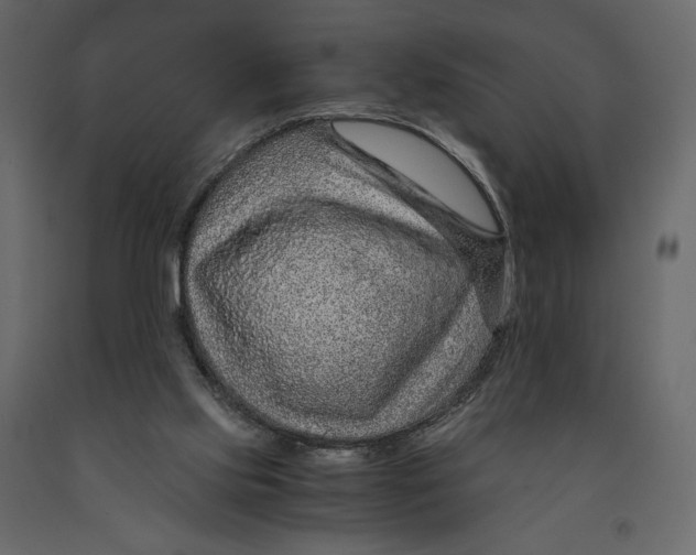 X0000090900061200708270952