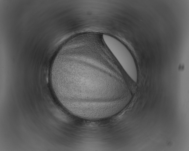 X0000090900062200708270952