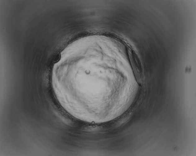 X0000090900065200708270953