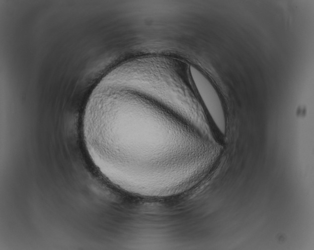 X0000090900066200708270953
