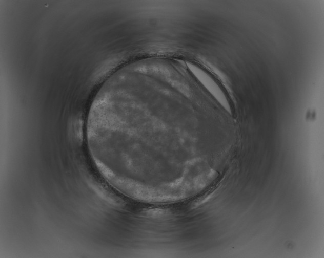 X0000090900067200708270953