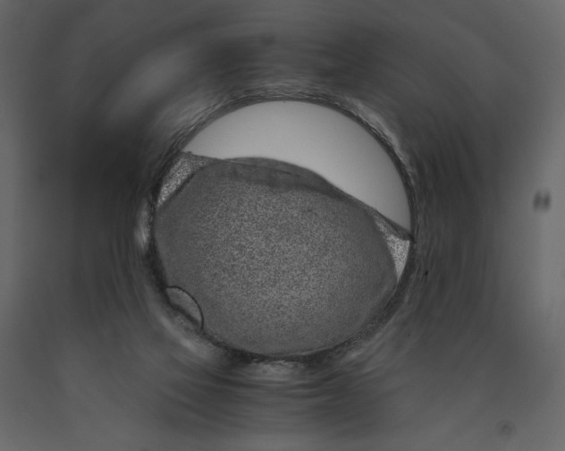X0000090900069200708270953