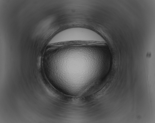 X0000090900070200708270953