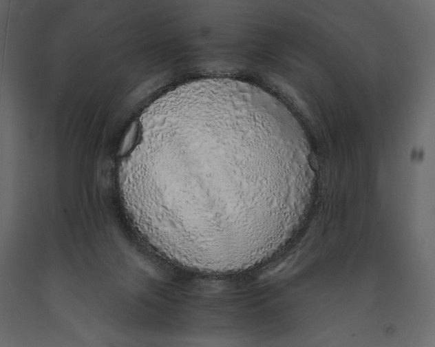 X0000090900071200708270953